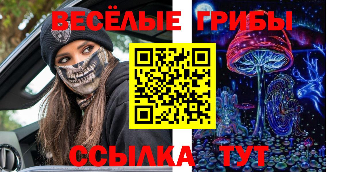 Галлюциногенные грибы GOLDEN TEACHER Зеленогорск