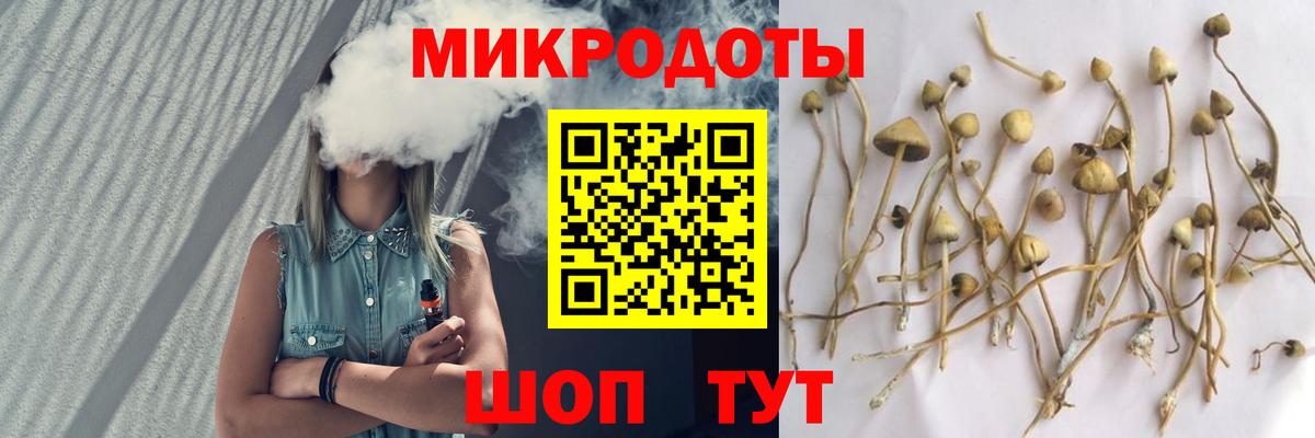 как найти   Вход с VPN  Зеленогорск  Галлюциногенные грибы Cubensis  Галлюциногенные грибы Magic Shrooms 